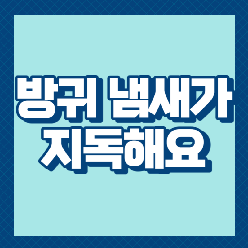 방귀 냄새가 지독해요