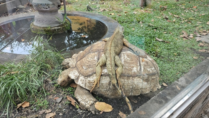 사이공동식물원8