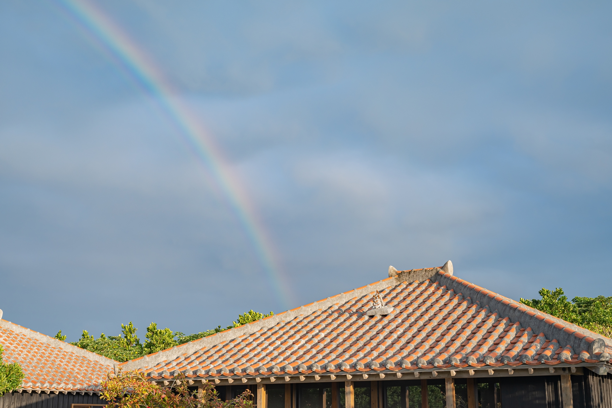 #일본여행
#오키나와여행
#이시가키
#이시가키여행
#다케토미지마
#이시가키지마
#이시가키섬
#호시노야다케토미지마