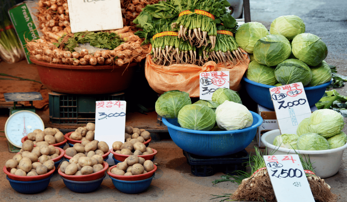 민생회복지원금_25만원_신청방법_19