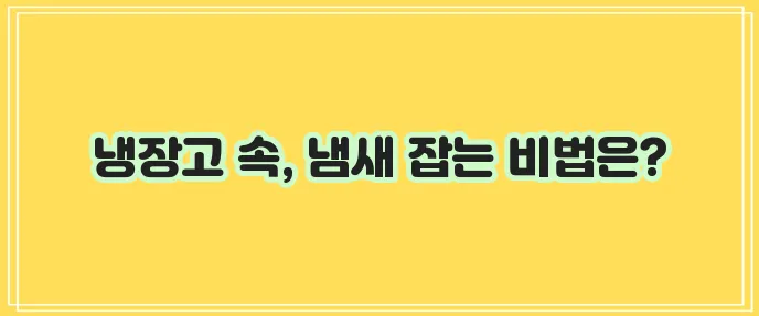 냉장고냄새 강력탈취제 종류 알아보기