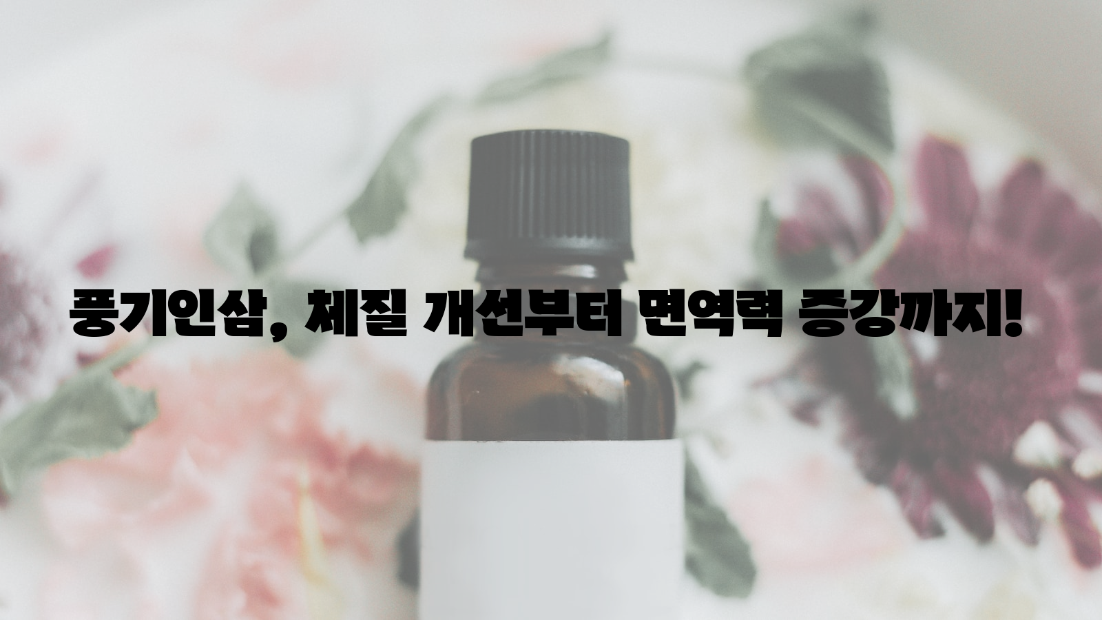 풍기인삼, 체질 개선, 면역력 증강