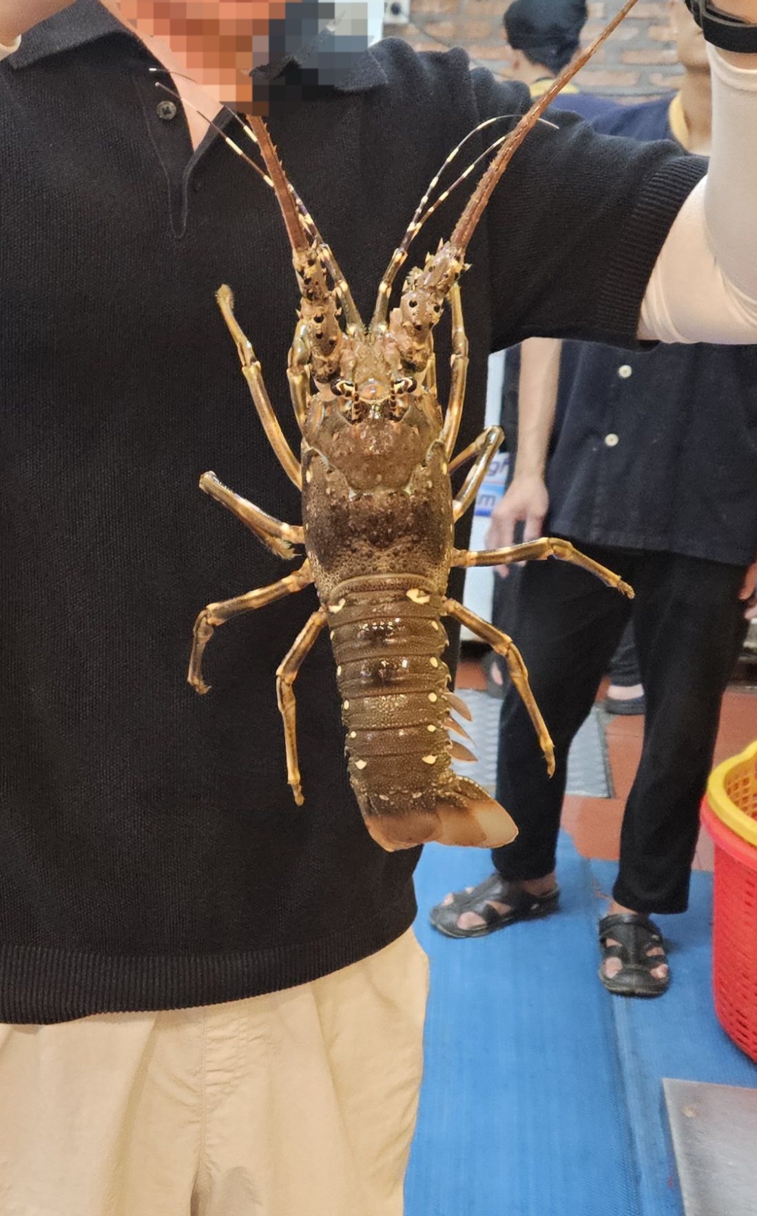 나트랑 목식당 랍스터