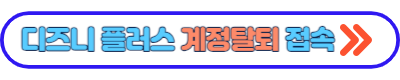 디즈니플러스 성인인증