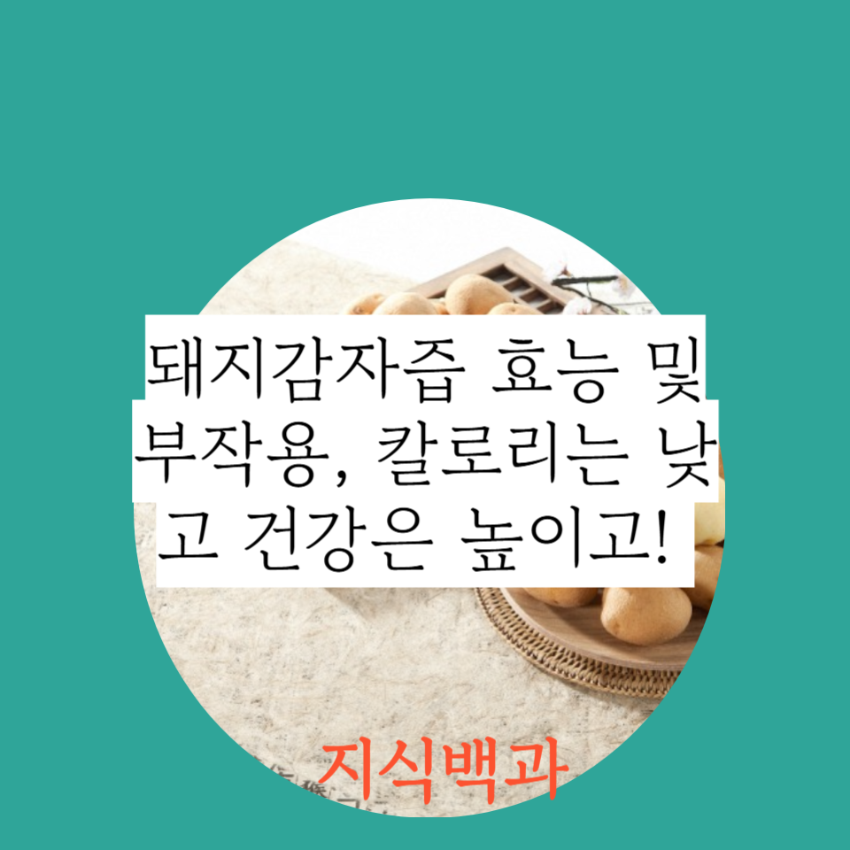 돼지감자즙 효능 및 부작용, 칼로리는 낮고 건강은 높이고!