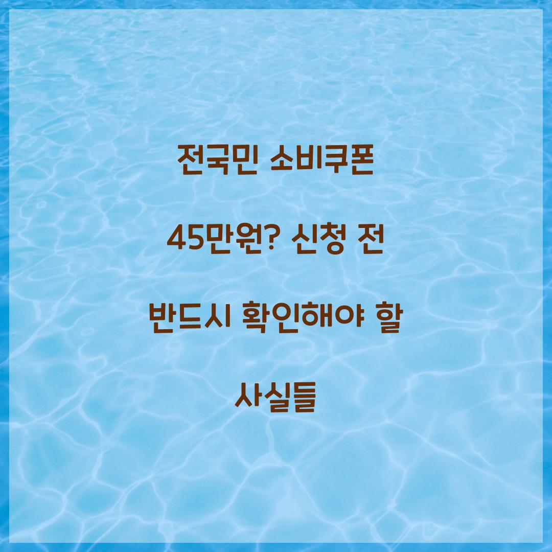 전국민 소비쿠폰 45만원