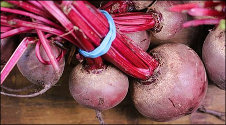 비트 한 무더기