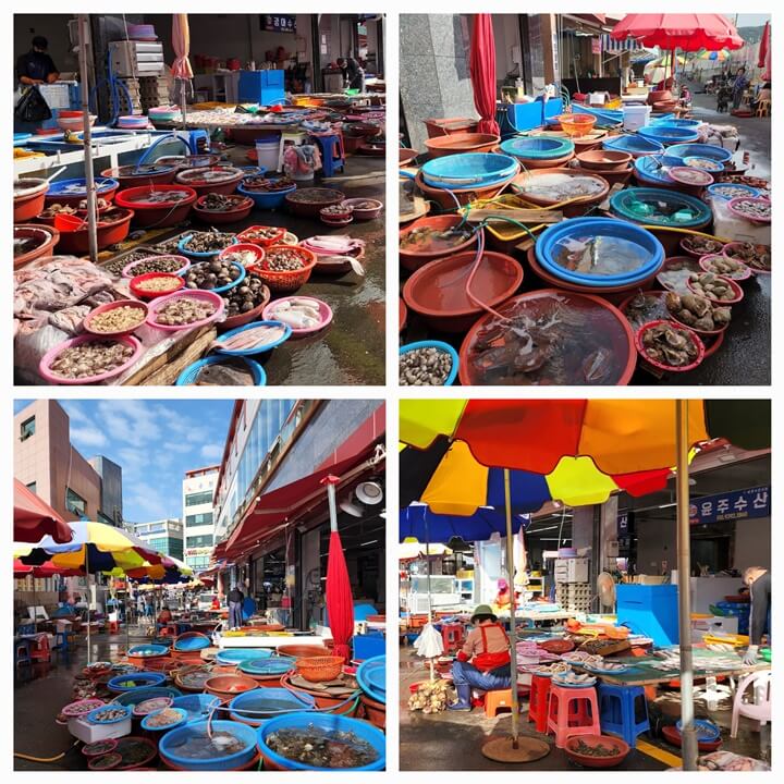 물이 흥건한 바닥위에 소쿠리와 바구니에 담긴 장어, 소라,조개,갑오징어 등등