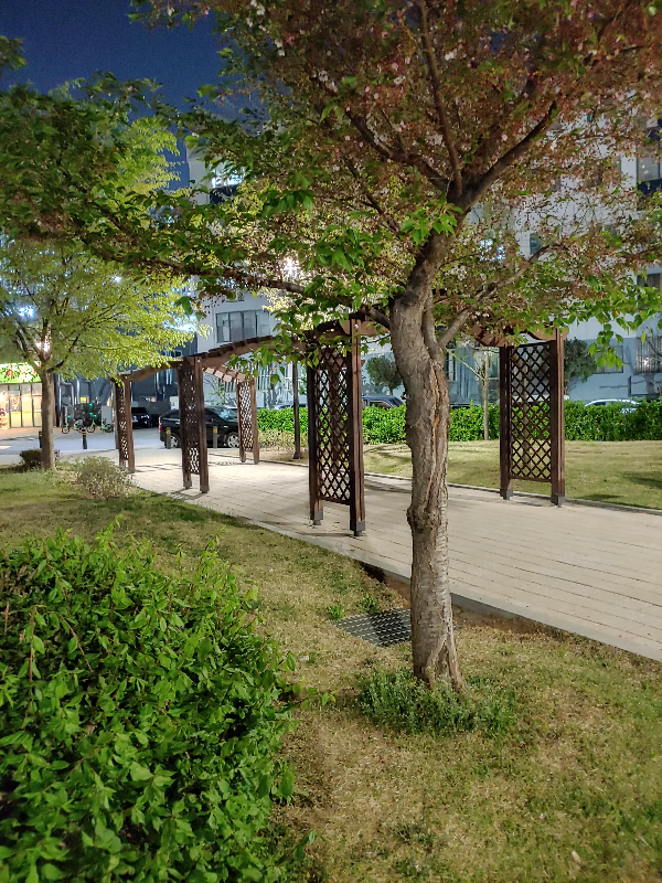 밤의-피크닉-밤의-산책-@신천공원