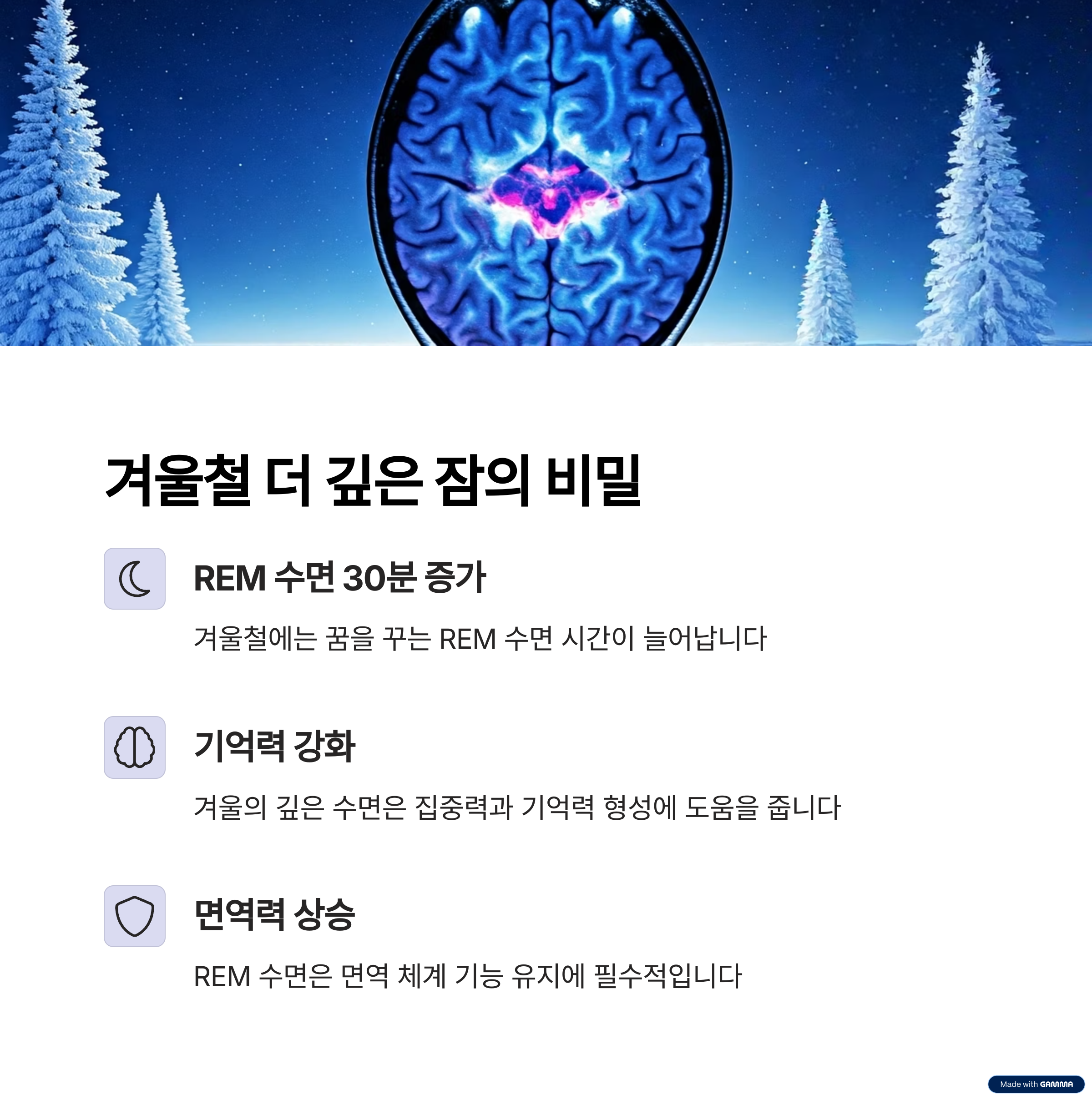 겨울철 더 깊은 잠의 비밀