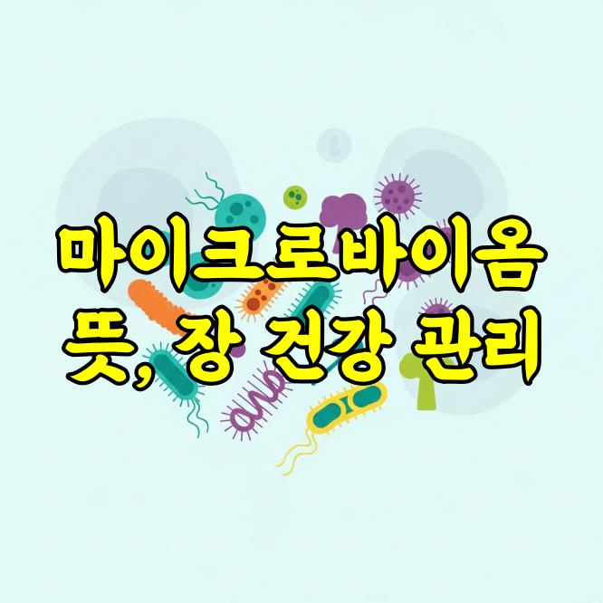 마이크로바이옴 뜻 쉽게 정리｜장내 미생물의 의미와 역할