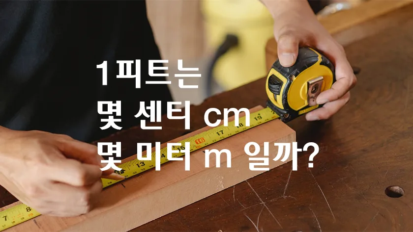 1피트는 몇 센티 cm&#44; 몇 미터 알려드립니다.