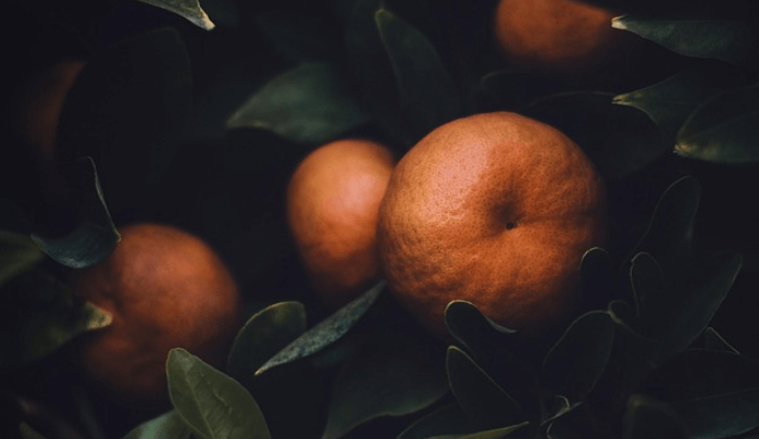 폐에 좋은 음식