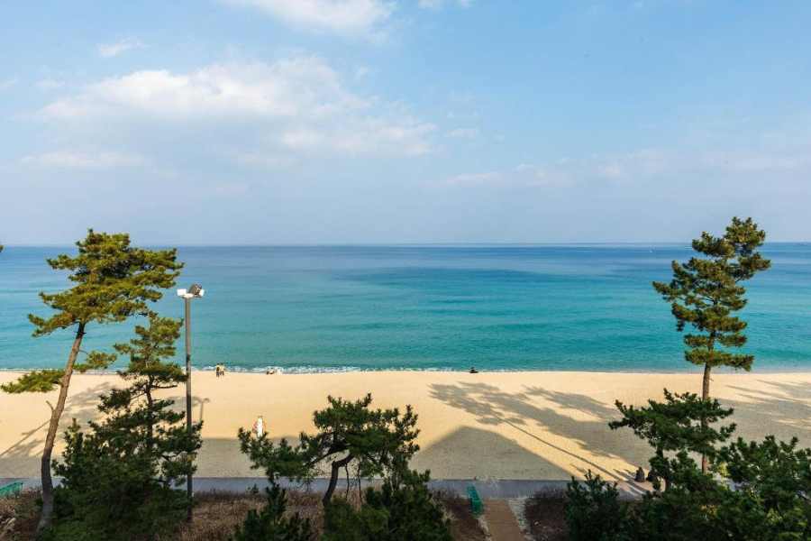 2025년 강릉 가볼만한 곳 베스트 10