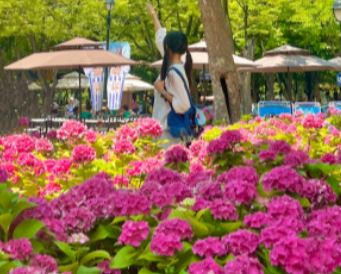 이월드 블루밍 가든 & 트로피컬 아쿠아 월드 자유 이용권 예매, 기본 정보