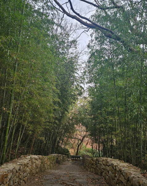 은애하는-도적님아-촬영지-총정리