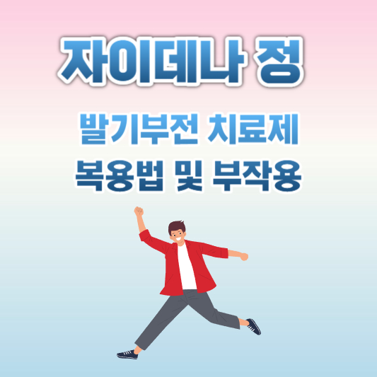 자이데나정