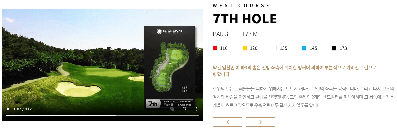 블랙스톤 골프클럽 서코스 7