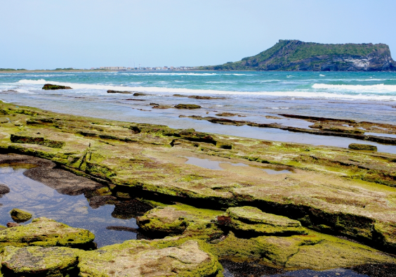 5월제주도 가볼만한곳