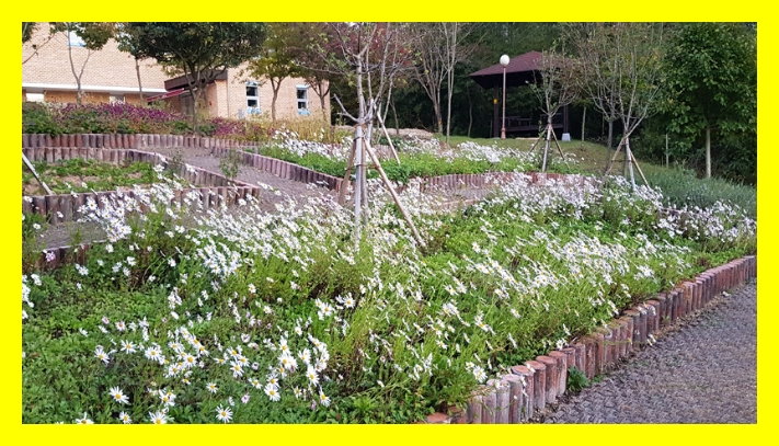 국립자연휴양림 예약&amp;#44; 국립자연휴양림 예약 성수기 추첨&amp;#44; 국립자연휴양림 추첨&amp;#44; 국립자연휴양림 성수기 추첨&amp;#44; 국립자연휴양림 성수기 예약 추첨&amp;#44; 국립자연휴양림 예약 신청방법&amp;#44; 국립자연휴양림 예약통합시스템&amp;#44;신시도 국립자연휴양림&amp;#44; 국립자연휴양림 위약금&amp;#44; 국립 자연휴양림 예약