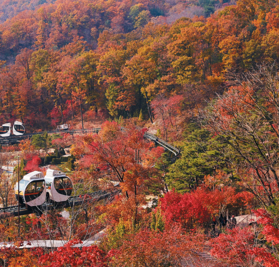 화담숲