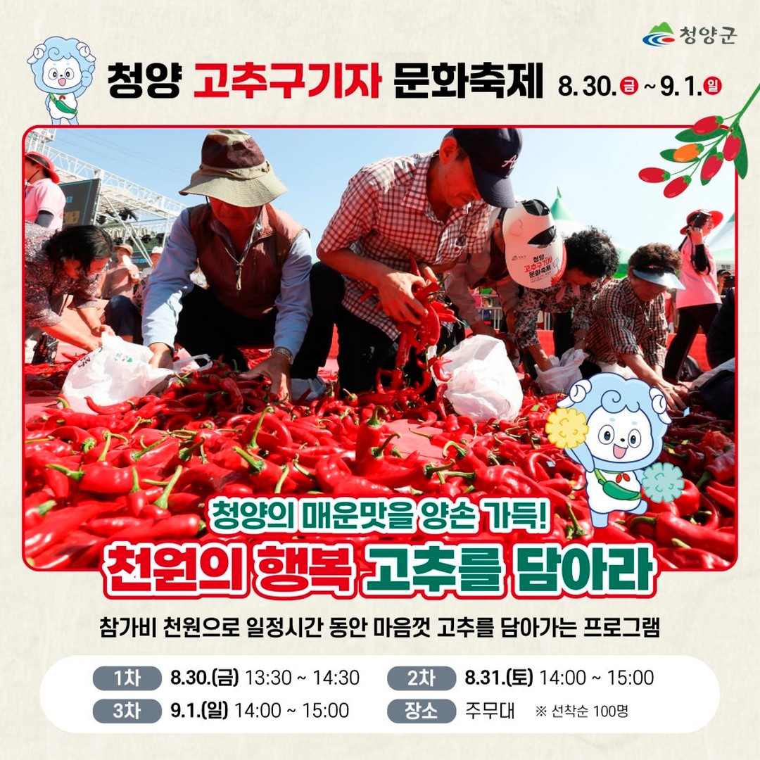 청양고추구기자 문화 축제