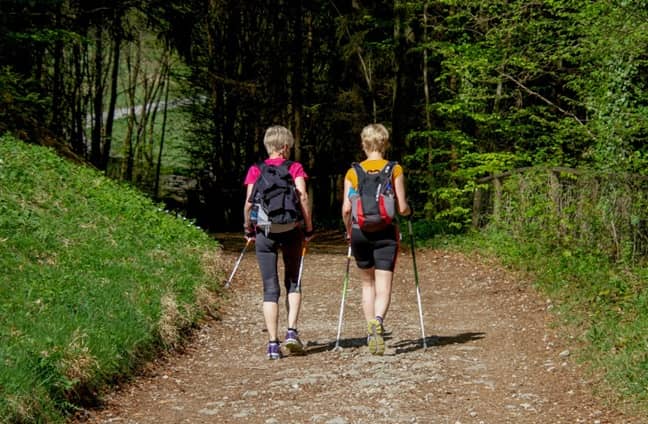 50대 이상 추천 겨울 운동 (노르딕 워킹, 수영, 요가)