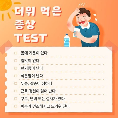 더위 먹었을때 증상