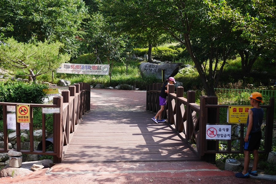 유명산 자연휴양림