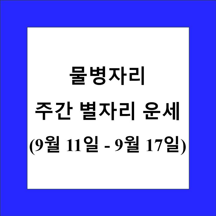 물병자리 주간 별자리 운세 제목 상자