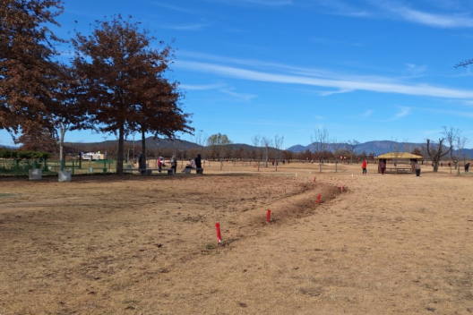 구미시 파크골프장 예약 하기 도개ㅣ동락 ㅣ구미ㅣ선산 ㅣ양포 ㅣ옥성 ㅣ해평 온라인예약