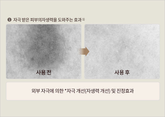 스템벨 가격, 판매처, 크림, 후기