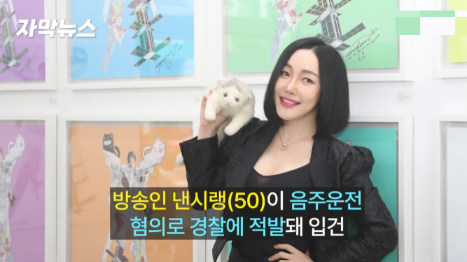 낸시랭 음주운전 적발