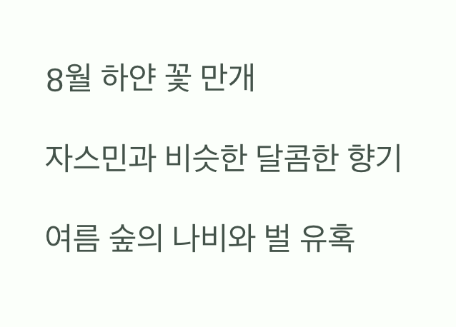 냄새를 압도하는 '꽃'의 반전 매력