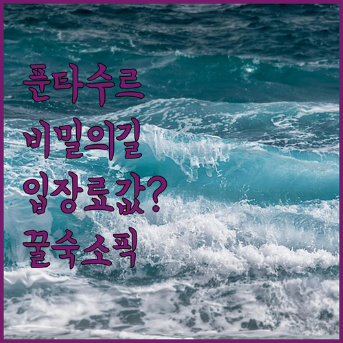 푼타 수르 이매진 조각 공원 산책로 ..