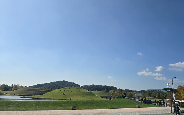 2025 순천만국가정원 입장료 추천코스 스카이큐브 순천여행 근처맛집 현지인추천 맛집 주차장 동문 서문 편의시설 예약 정원해설