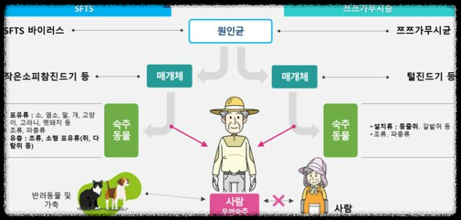 가을철 진드기 감염병 주의보: 예방 방법과 대처 요령