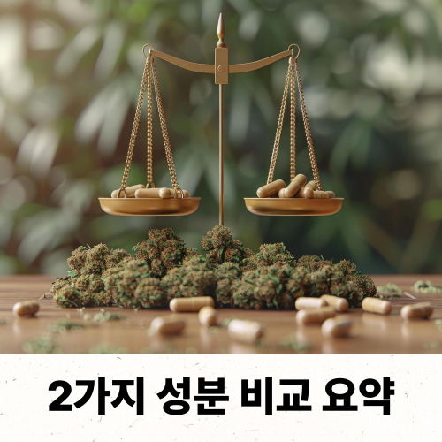 간건강