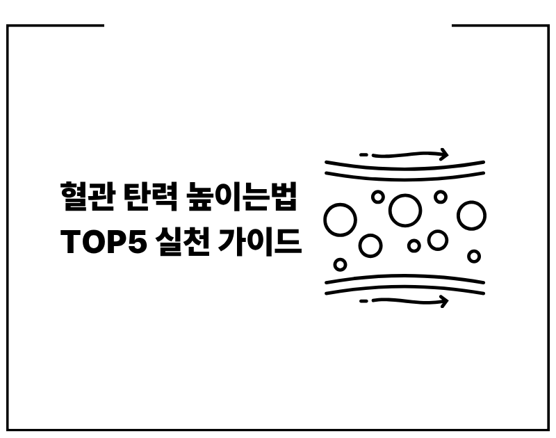 혈관 탄력 높이는법 TOP5 실천 가이드
