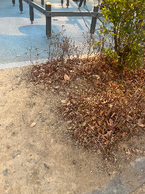 불규칙한 수면 습관이 아이들의 정서에 미치는 영향