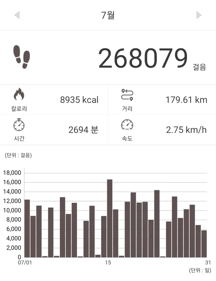 7월 26만보 성공