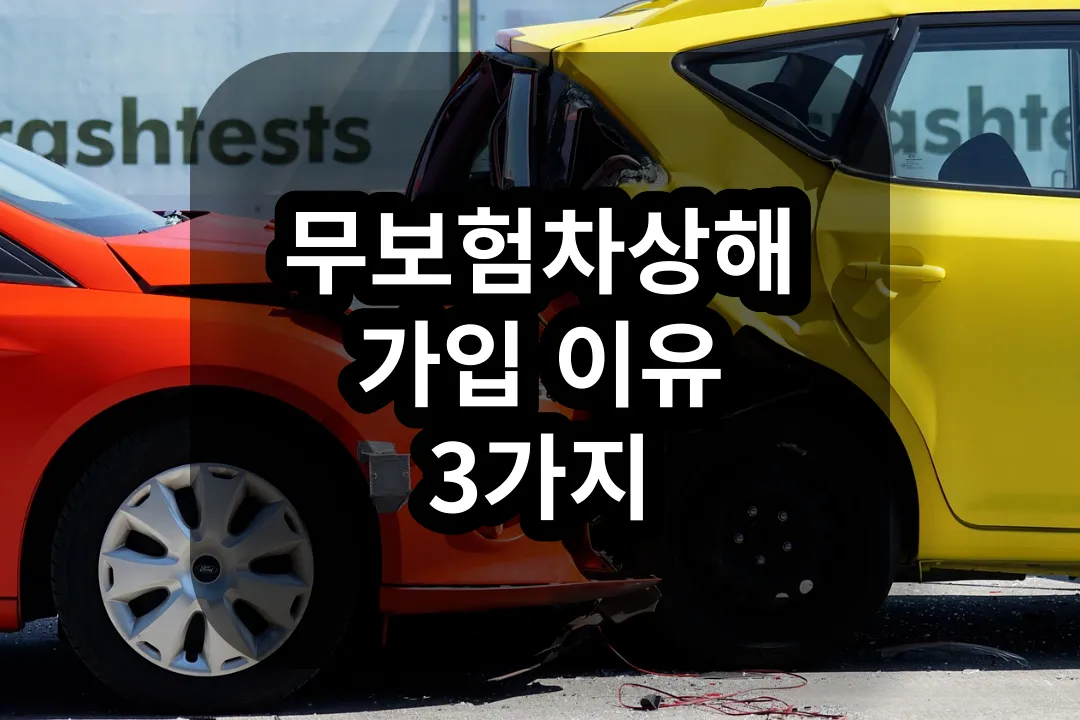 무보험차상해 가입 이유