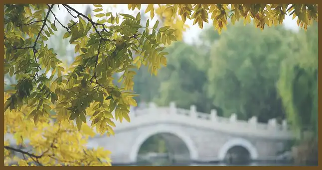 서울 근교 단풍 명소 (지금이 단풍 절정시기)