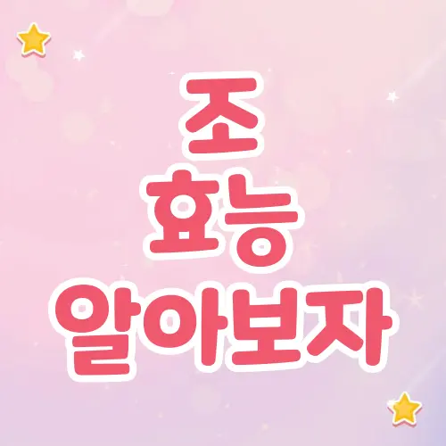 조효능좁쌀효능조밥효능