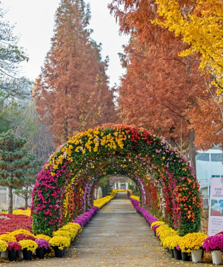 μμ° νΌλν΄λλ