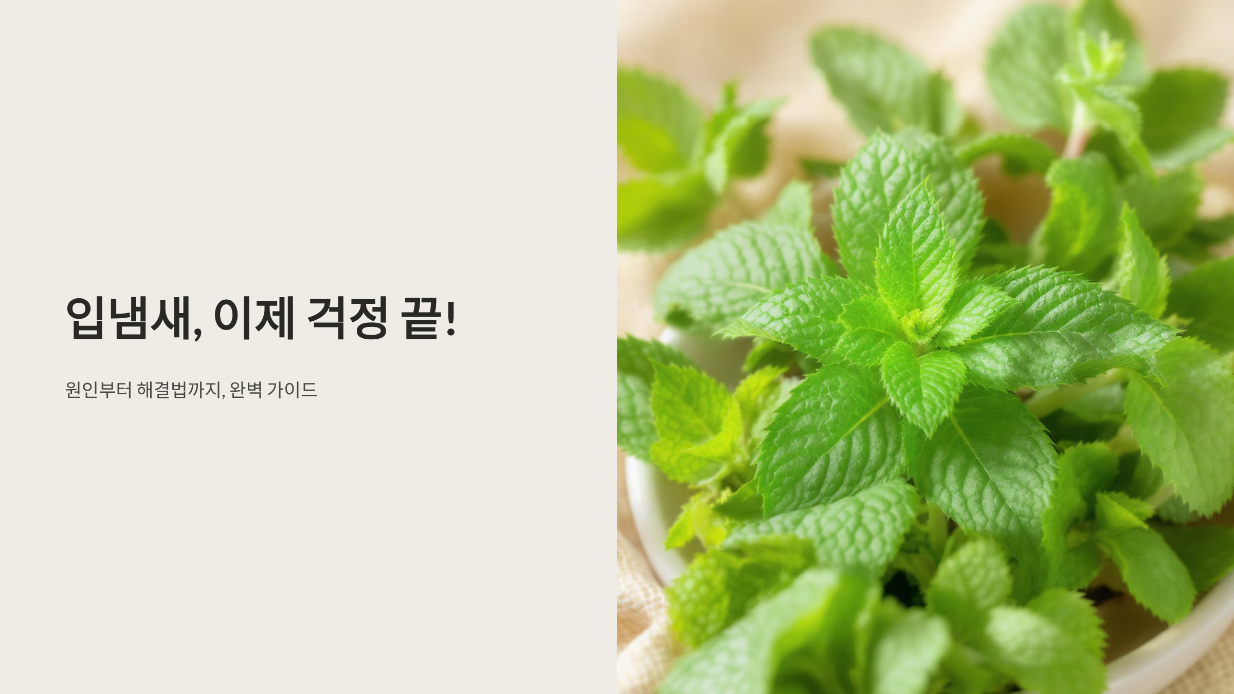 입냄새 원인 파헤치기, 상황별 즉효 해결법