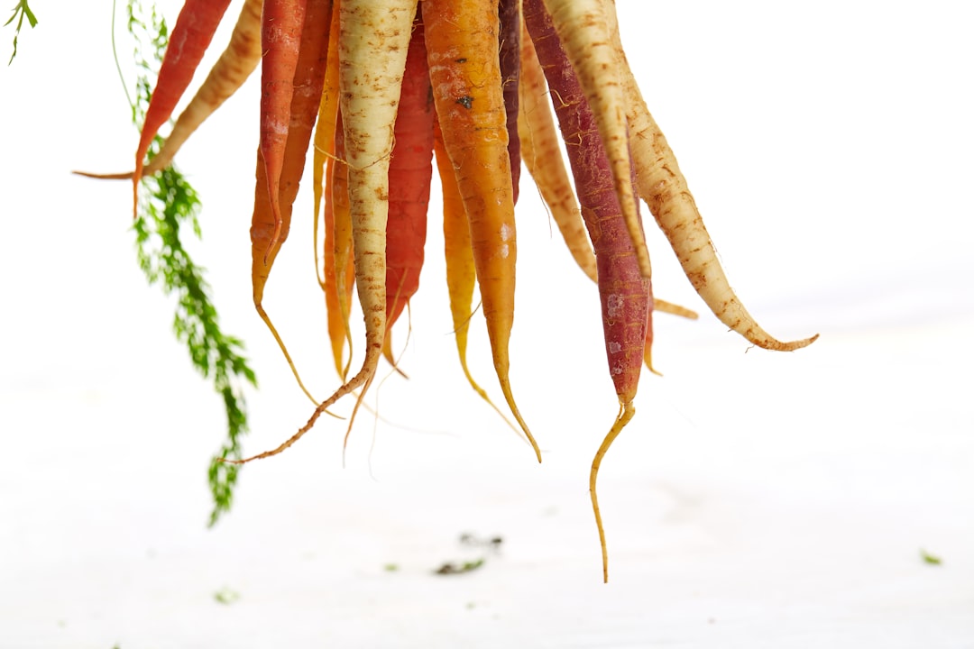 Carrot