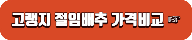 고랭지-절임배추-가격비교-링크버튼