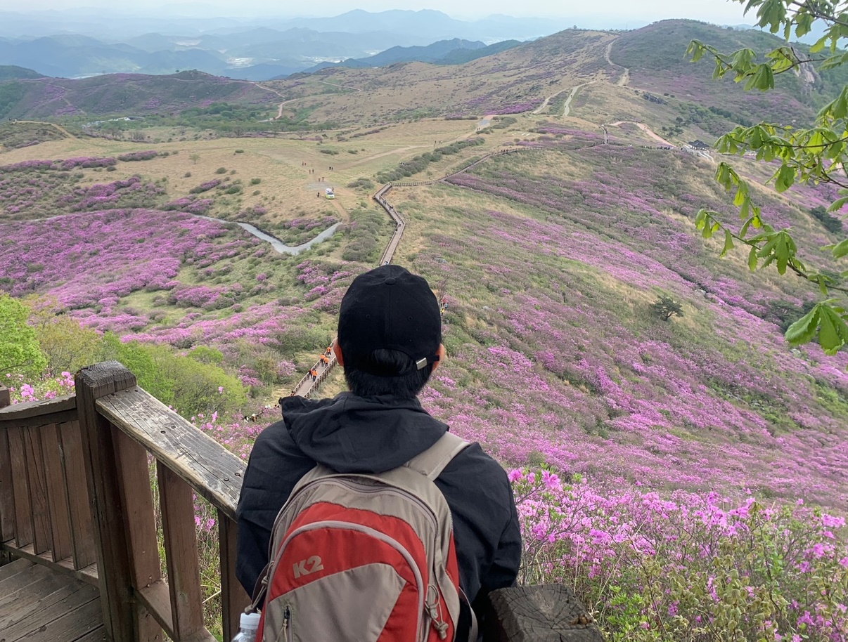 황매산에서 바라보는 철쭉 밭