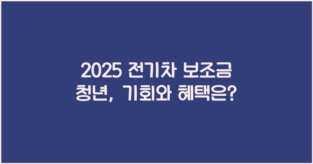 2025 전기차 보조금 청년